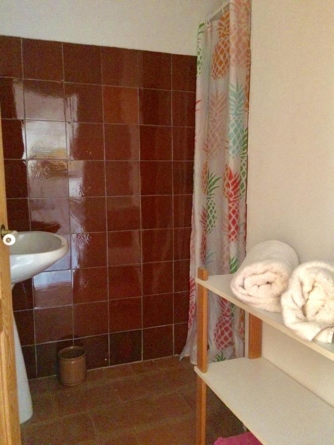 La Maison D'Alice 萨路特德沃克吕兹 外观 照片